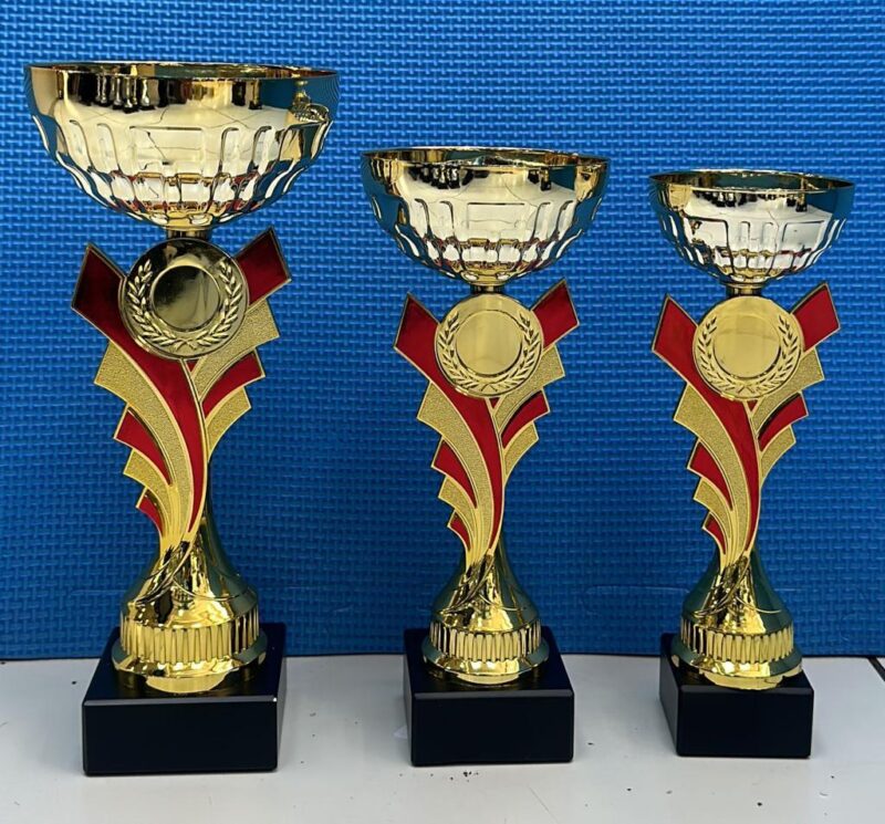 Cup Trophies - Image 7