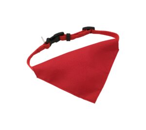 Rex dog's collar