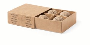 Solmi herb growing kit